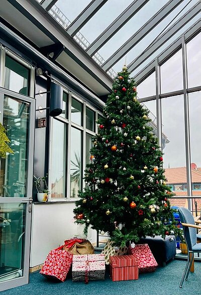 Ein hoher Weihnachtsbaum mit bunten Kugeln und Lichterkette steht in einem Bereich eines Gebäudes, der wie ein Wintergarten aussieht. Vor dem Baum liegen Geschenke. Es ist noch ein Bürostuhl zu sehen.