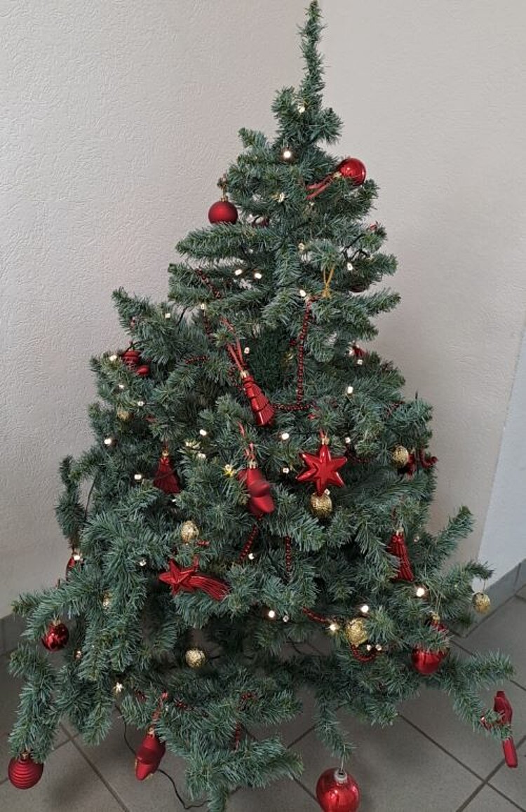 Ein geschmückter Weihnachtsbaum steht vor einer weißen Wand. Der Baum ist mit roten, goldenen Kugeln und roten Sternen sowie einer Lichterkette geschmückt. 