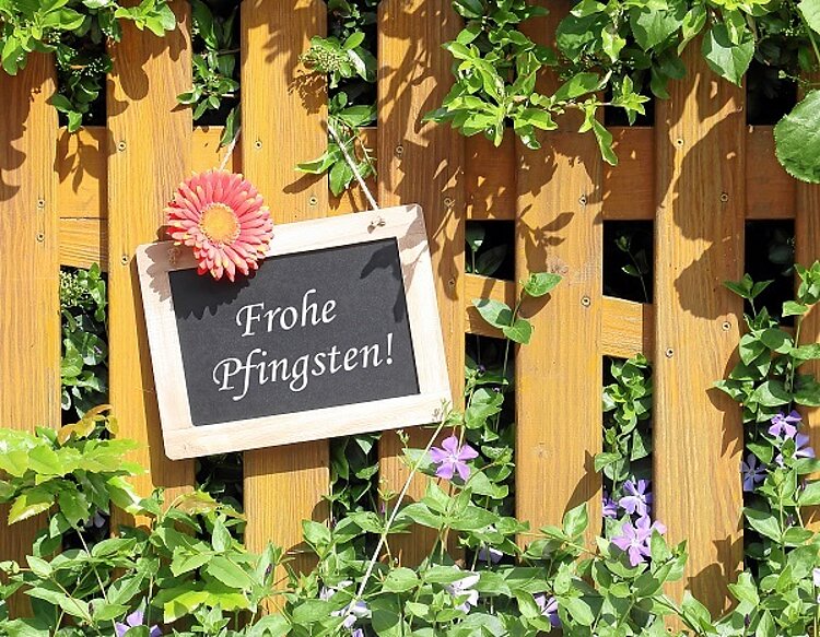 Frohe Pfingsten!