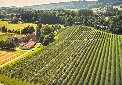 Erntezeit im Förderzentrum!-1