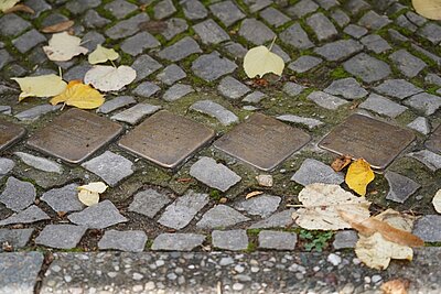 Vier Stolpersteine ​​auf dem Bürgersteig und Herbstlaub.