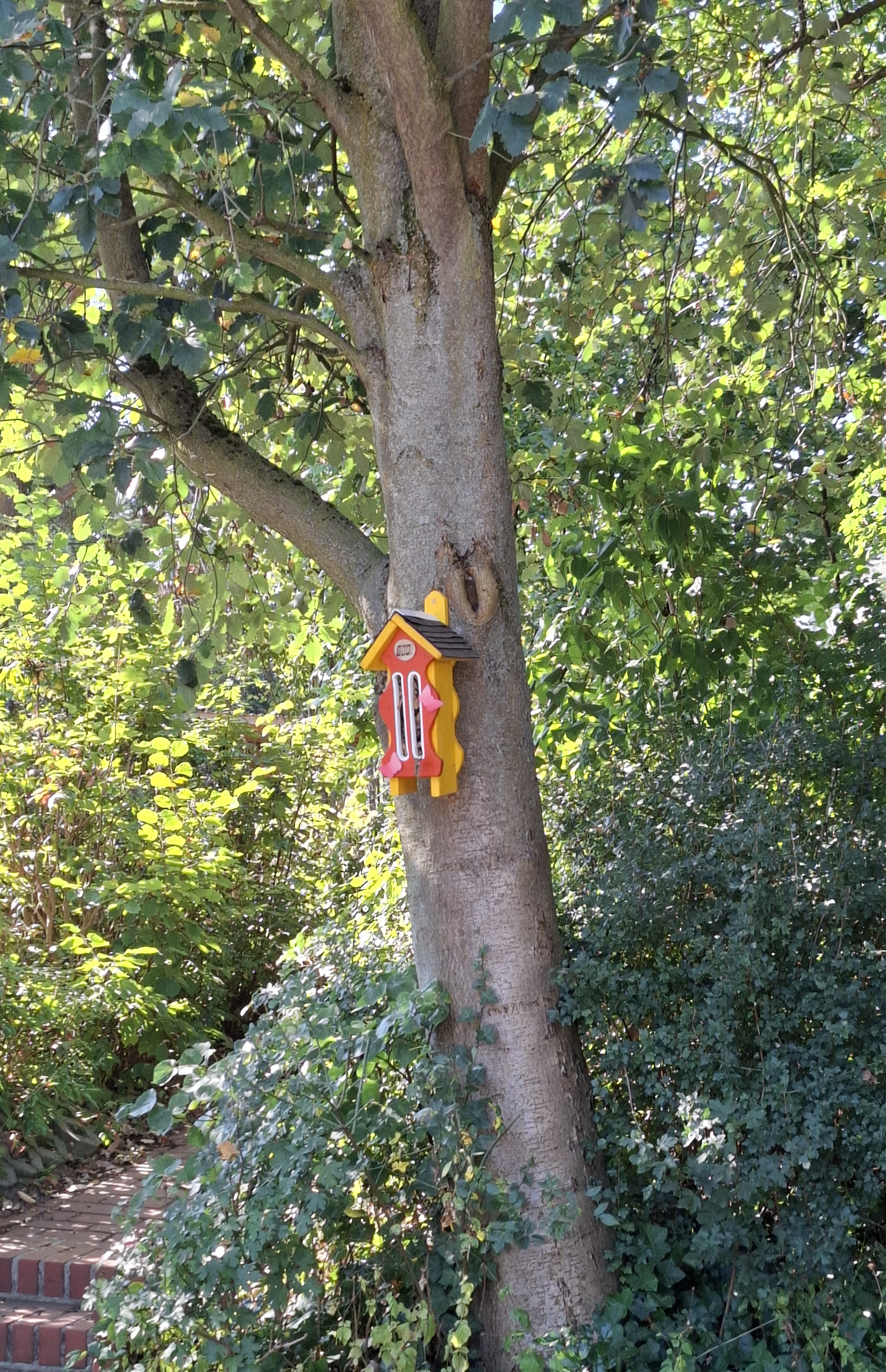 Strahlende Kinderaugen an Grundschule Thonhausen-4