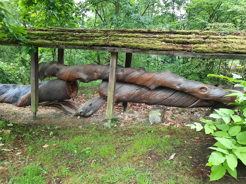 Fachexkursion in den Forstbotanischen Garten-5