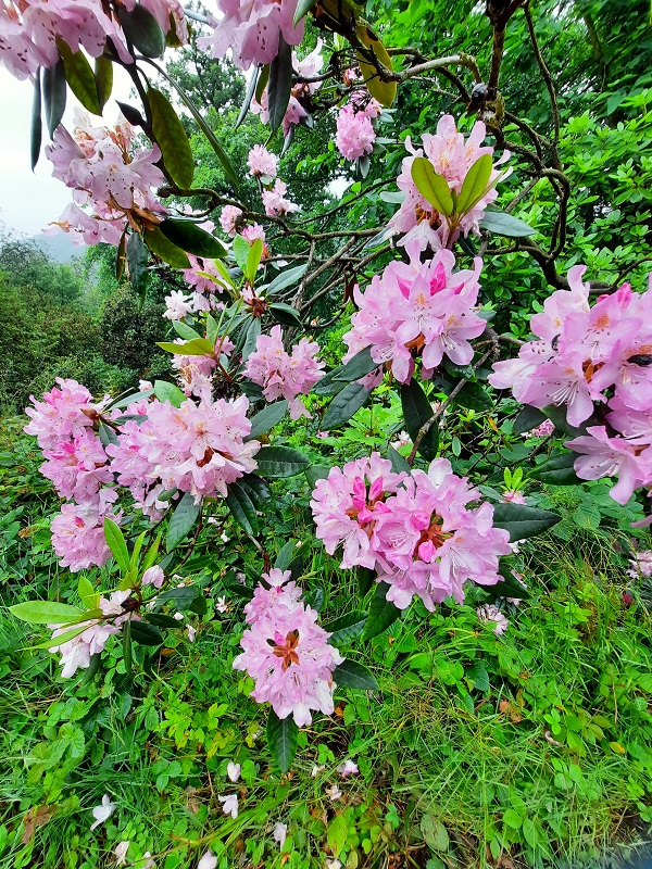 Fachexkursion in den Forstbotanischen Garten-2